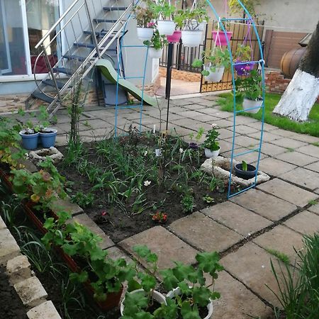 Casa Flor Apartment Două Mai Екстериор снимка